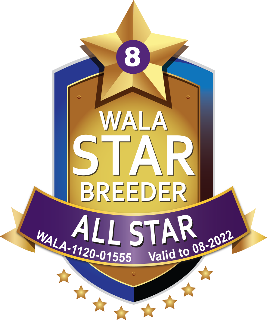 Poppy Hills All Star Logo 2022 Poppy Hills All Star Logo 2022
