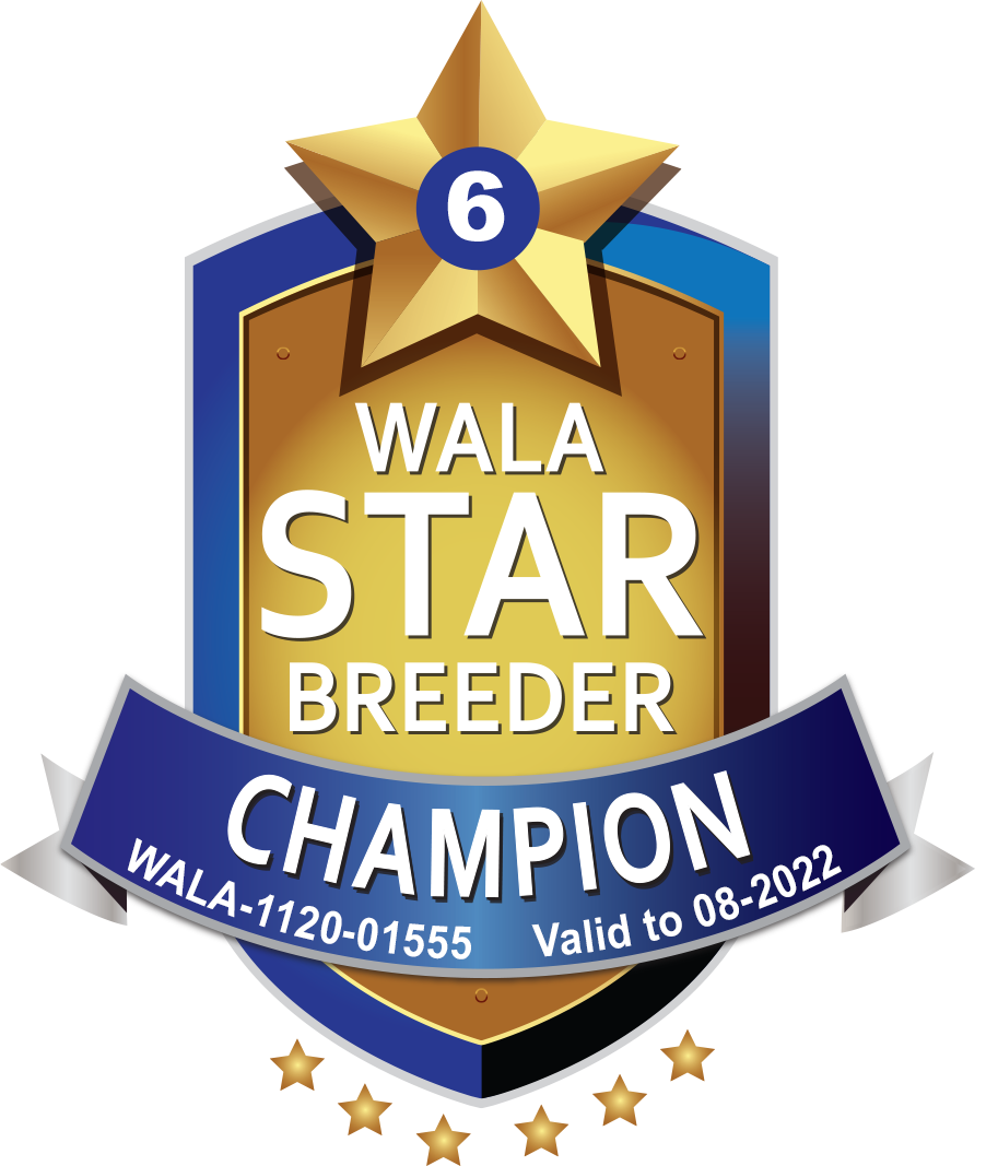 Poppy Hills Champion Logo 2022 Poppy Hills Champion Logo 2022